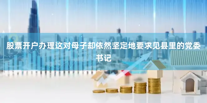 股票开户办理这对母子却依然坚定地要求见县里的党委书记