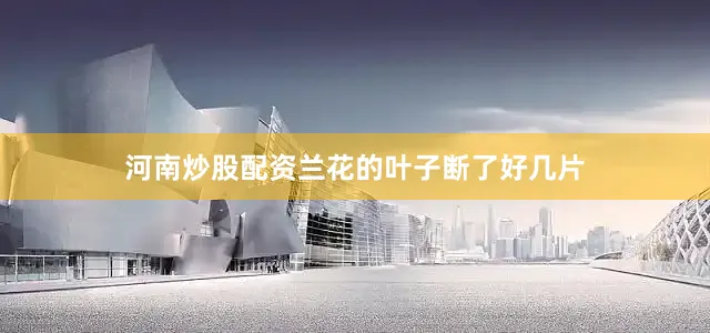河南炒股配资兰花的叶子断了好几片